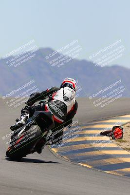 media/May-14-2022-SoCal Trackdays (Sat) [[7b6169074d]]/Turn 12 Backside (1135am)/